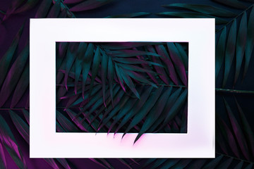 Tropical and palm leaves in vibrant bold gradient holographic neon colors , background.