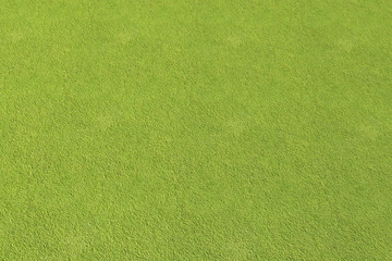 3d rendering of moss floor © JWS