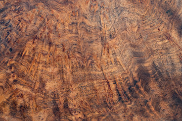 Real burl wood striped for Picture prints interior decoration, Exotic wooden beautiful pattern for crafts or abstract art texture background