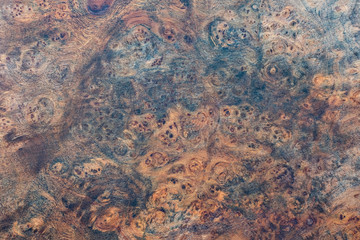 Real burl wood striped for Picture prints interior decoration, Exotic wooden beautiful pattern for crafts or abstract art texture background