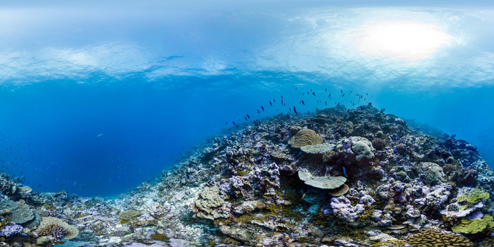 360 of reef in Palmyra