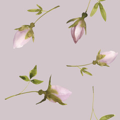 Watercolor botanical seamless  pattern with rosebud.