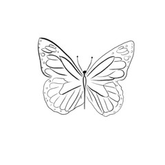 beautiful butterfly one line draw vector illustration