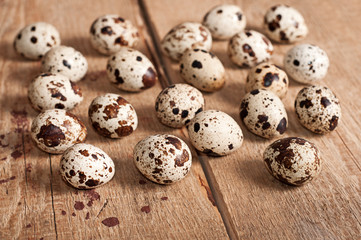 Many Quail eggs on table