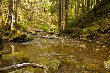 The mountain river landscape