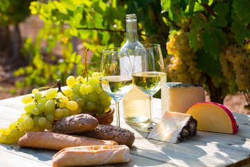 Tasty  cheese, wine, grapes and bread on table  in vineyards