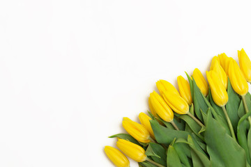 Yellow tulips isolated on white background. View from above. Close-up.