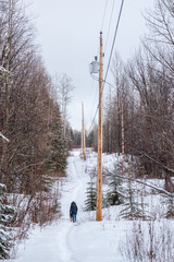 Powerline Walks in the Snow