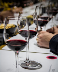 Wine tasting in Spain