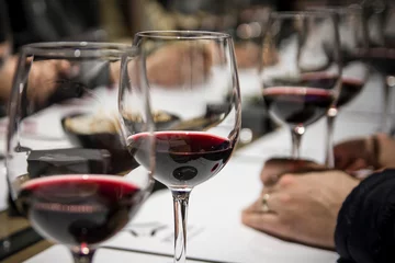 Wine tasting in Spain © Daniel