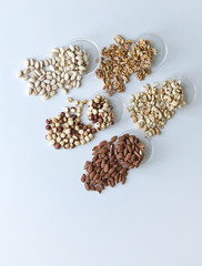 Healthy food. Nuts mix assortment on stone table top view. Collection of different legumes for background image close up nuts, pistachios, almond, cashew nuts, peanut, walnut. image
