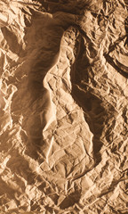 Silhouette lapin papier froissé