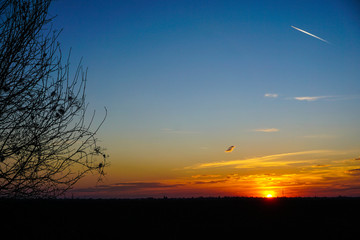 Fototapeta premium Vivid sunset,blue sky