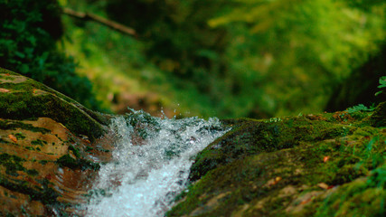 MACRO, DOF: Pure stream water droplets splashing over the moss covered rocks. - Powered by Adobe