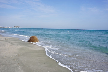 Black Sea Shore at spring, blue waters