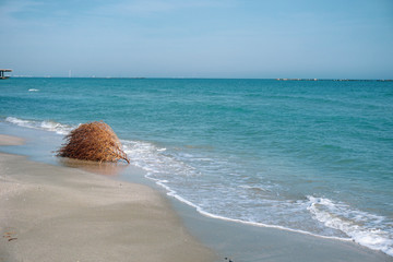 Black Sea Shore at spring, blue waters