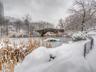 Gapstow Bridge  snow storm