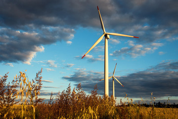 Windmills Power Generators with Sunset Evening Landscape. Wind Mills.