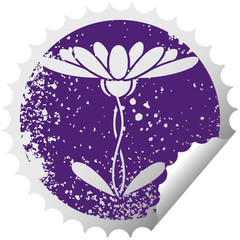 distressed circular peeling sticker symbol flower