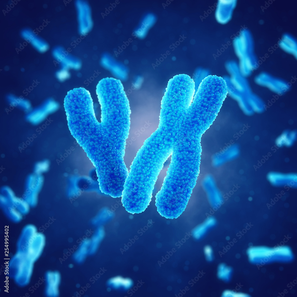 Poster x and y chromosomes , genetic disorders and gene therapy