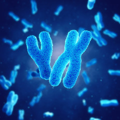 X and Y chromosomes , Genetic disorders and gene therapy - obrazy, fototapety, plakaty