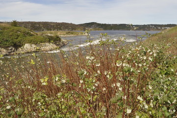 Reversling Falls in Canada