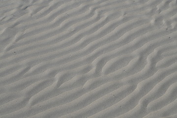 Fototapeta na wymiar pristine sand marine pattern. ripples in the sand