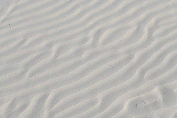 pristine sand marine pattern. ripples in the sand