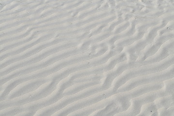 sand texture on the beach with a thin layer of water and a few seashells and reflection of the sun