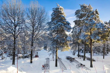 sunlight on snowfilled pine trees outside in a snowscape with bike stand