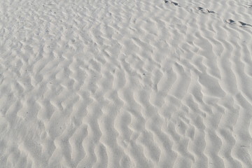 sand texture on the beach with a thin layer of water and a few seashells 