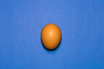 pure brown egg for Easter, on blue background
