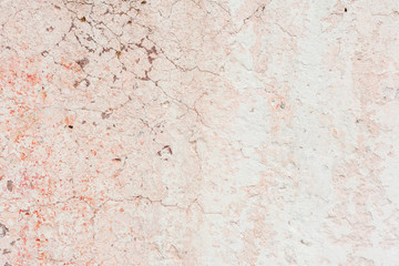 Texture.Wall. It can be used as a background