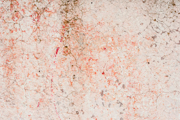 Texture.Wall. It can be used as a background