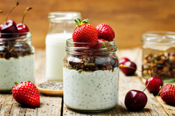 Chia seeds granola Greek yoghurt pudding with berries