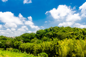 Fototapeta na wymiar Morro verde e céu azul com nuvens brancas