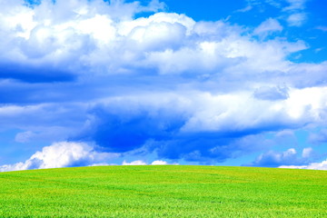 Blue Sky Clouds Field Bright Colorful Scenery Background Stock Photo