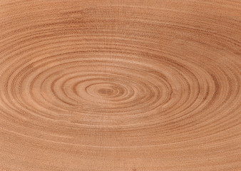 Cut of old log with cracks close-up with natural texture