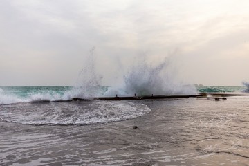 Earth and waves 