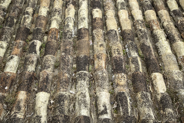 Decorative roof house