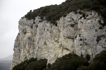 Rocky mountain texture