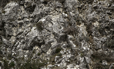 Rocky mountain texture