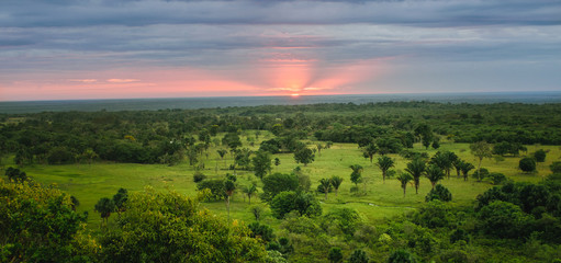 Fototapeta premium Llanero Landscapes