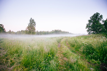 Beautiful thick fog sunrise Autumn Fall landscape over fields with treetops visible through fog