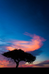 Atardecer patagónico