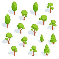 Set of isometric trees. Deciduous and spruce. Vector illustration.