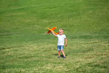 Fototapeta premium Young boy playing airplane on the meadow