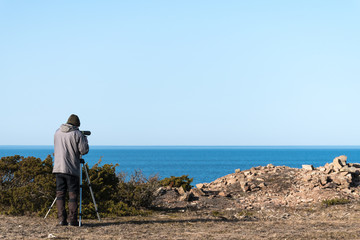 Watching birds by the sea