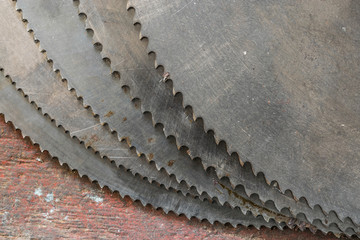 buzz saw blades