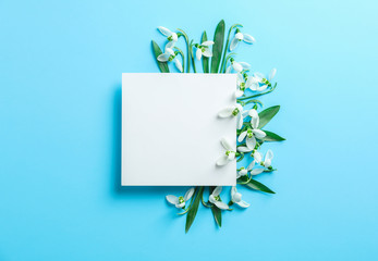 Snowdrop flowers and white square on color background, space for text